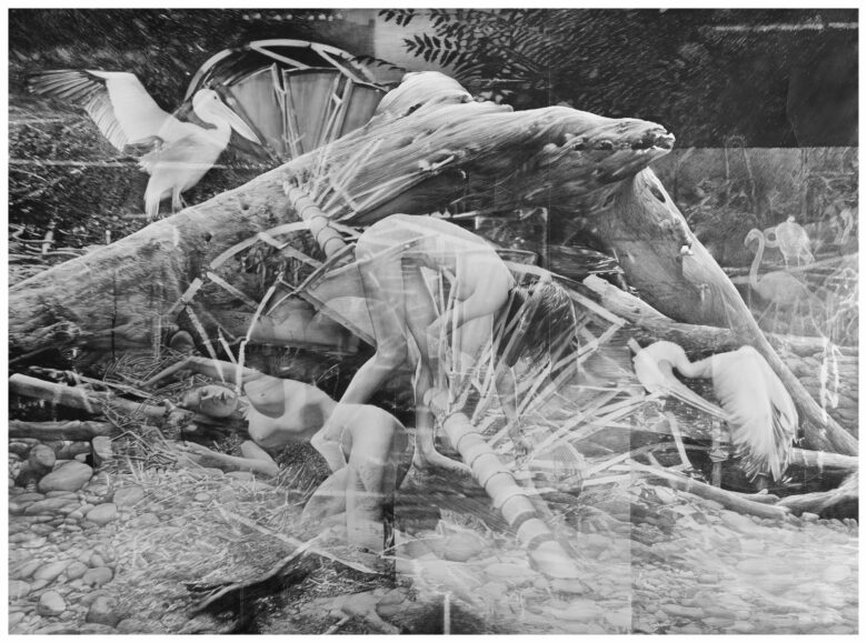 Crayon sur papier / Pencil on paper 196 x 264 cm (77 1/8 x 103 7/8 in.)