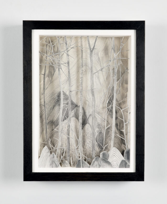 Mine de plomb sur papier et papier calque / Graphite on paper and tracing paper 39,5 x 29,5 x 10 cm (15 1/2 x 11 5/8 x 3 7/8 in.) encadré / framed