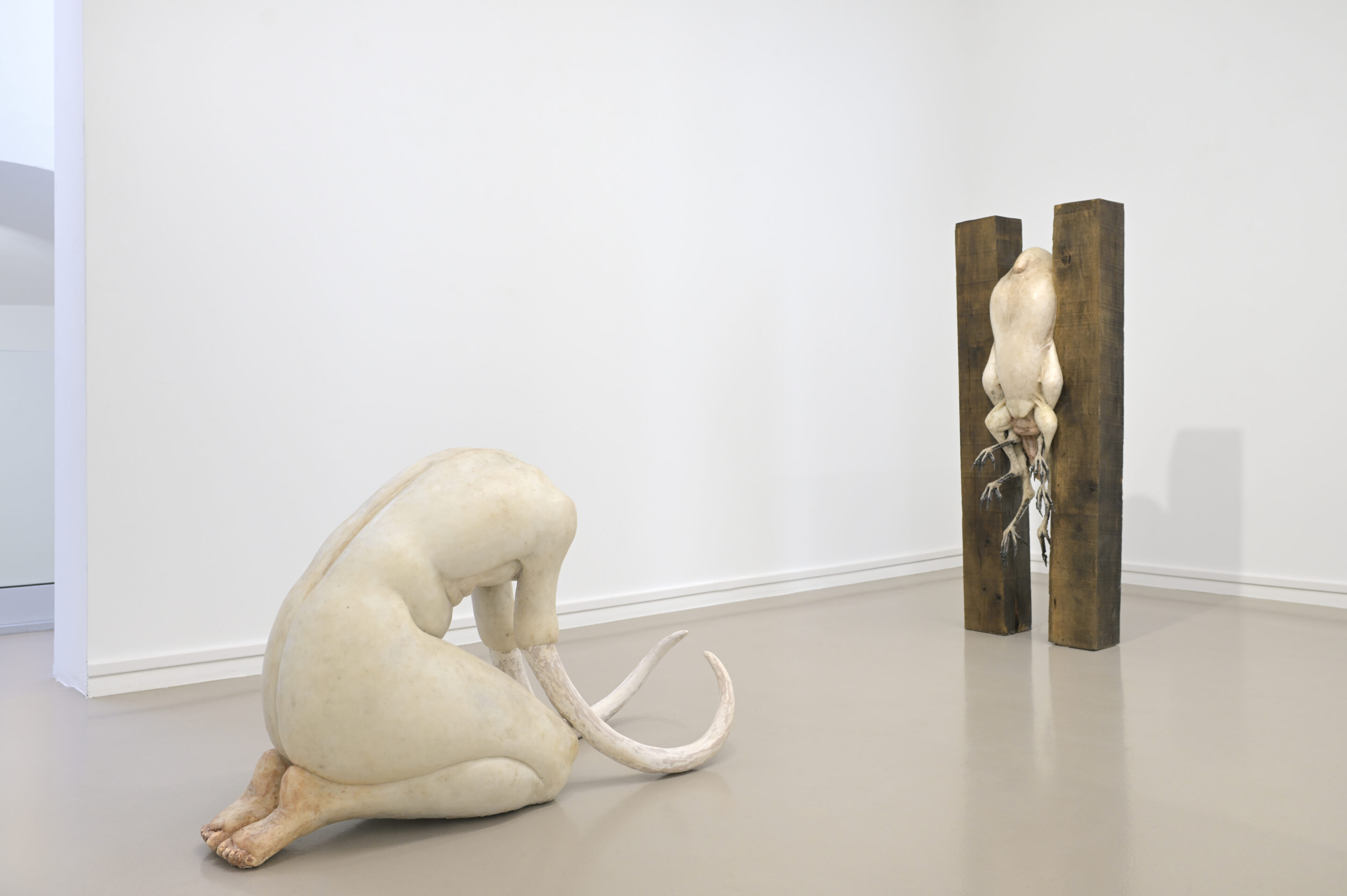 Vue de l'exposition / Exhibition view, Paris, 2026