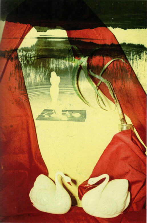 C-print 130 x 90 cm (51 1/8 x 35 3/8 in.) 135 x 95 cm (53 1/8 x 37 3/8 in.) encadré / framed Edition de / of 5