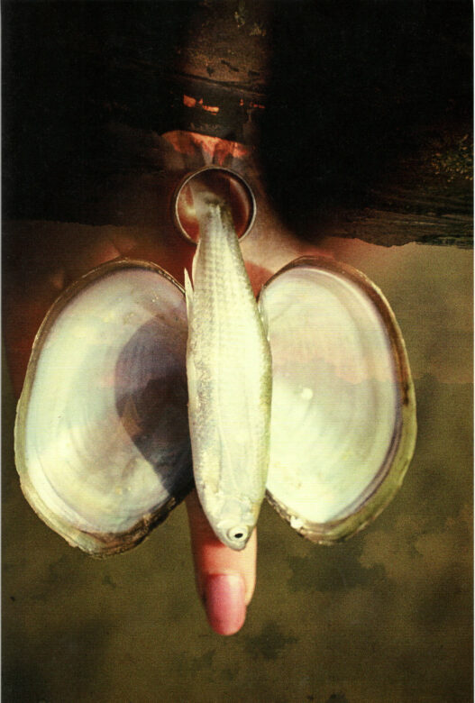 c-print 130 x 90 cm (51 1/8 x 35 3/8 in.) 135 x 95 cm (53 1/8 x 37 3/8 in.) encadré / framed Edition de / of 5