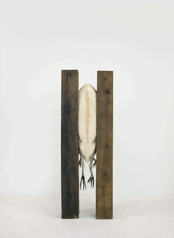 Poutres de chêne, métal, cire / Oak beams, metal, wax 133 x 47 x 35 cm (52 3/8 x 18 1/2 x 13 3/4 in.)